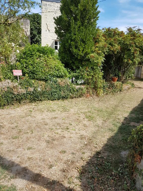 Gite Chateau De Chaintres Dampierre-sur-Loire Экстерьер фото